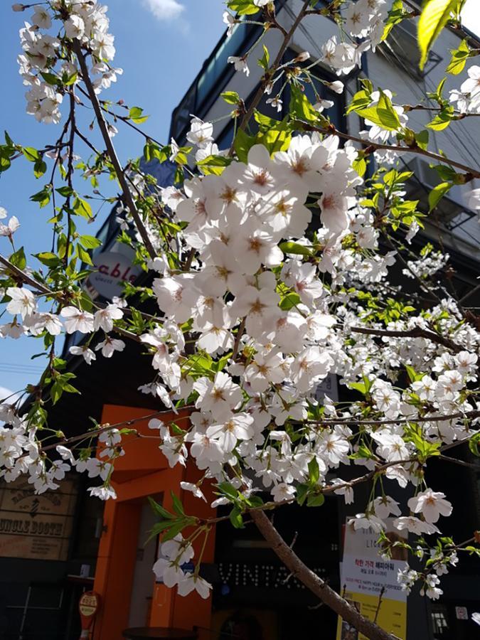 Able Guesthouse Hongdae Σεούλ Εξωτερικό φωτογραφία